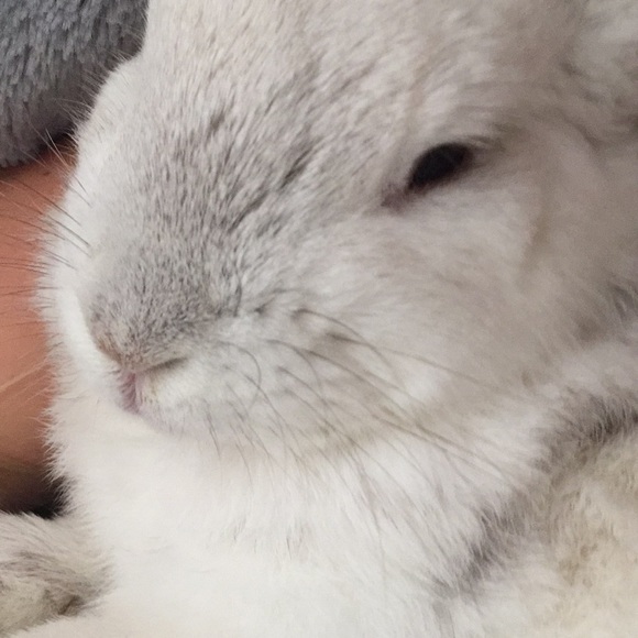 Poop - Picture 2 of 3